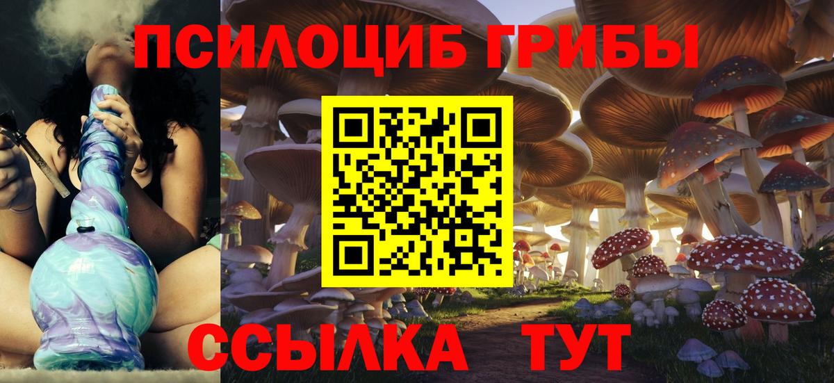 Галлюциногенные грибы GOLDEN TEACHER Георгиевск