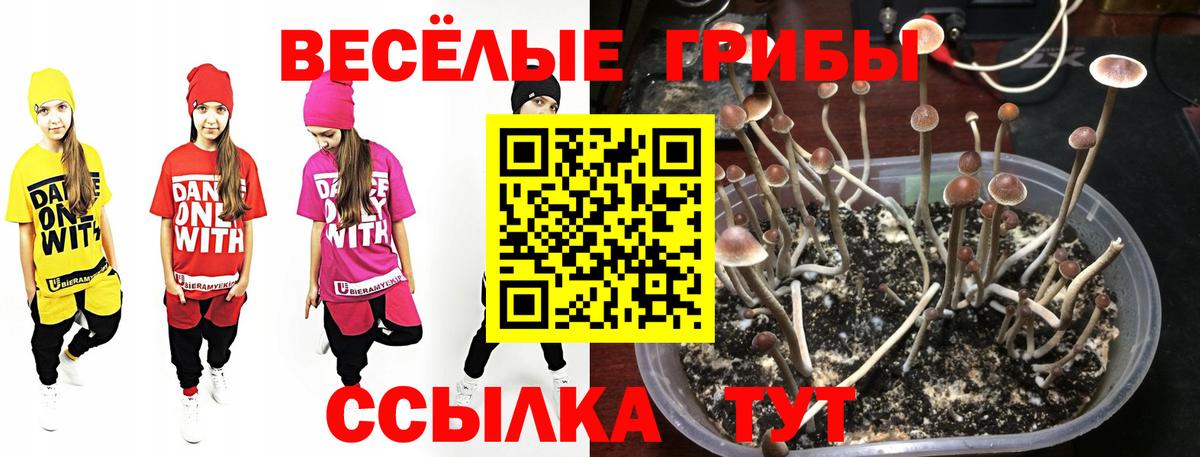 Псилоцибиновые грибы мухоморы  Вход с VPN  Георгиевск 